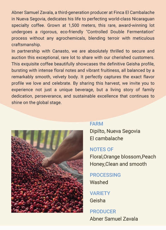 COE1 Nicaragua El Cambalache Geisha washed