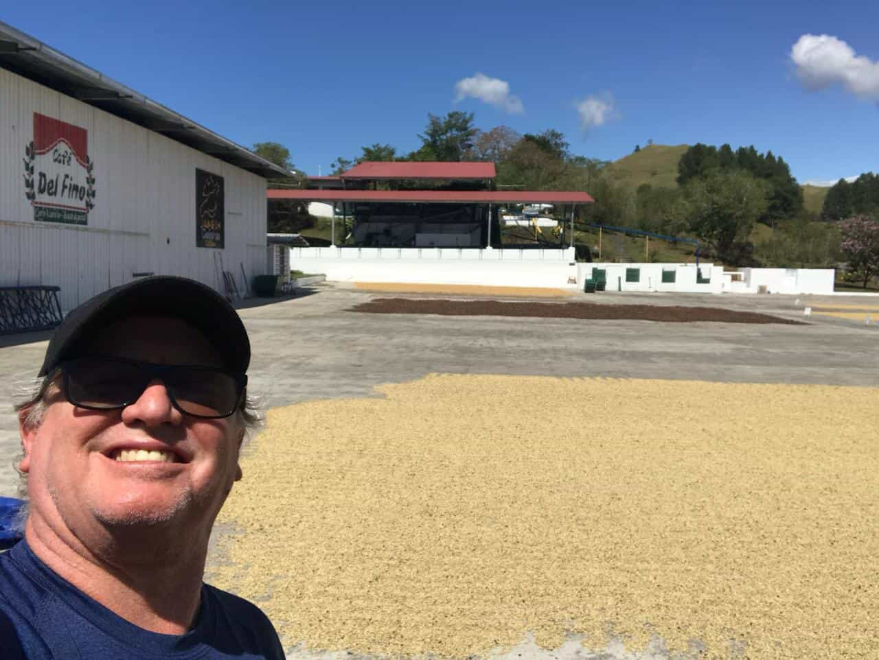 Panama,Janson Natural Geisha lot 957