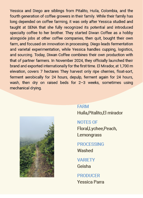Colombia ,Huila ,El mirador geisha Washed