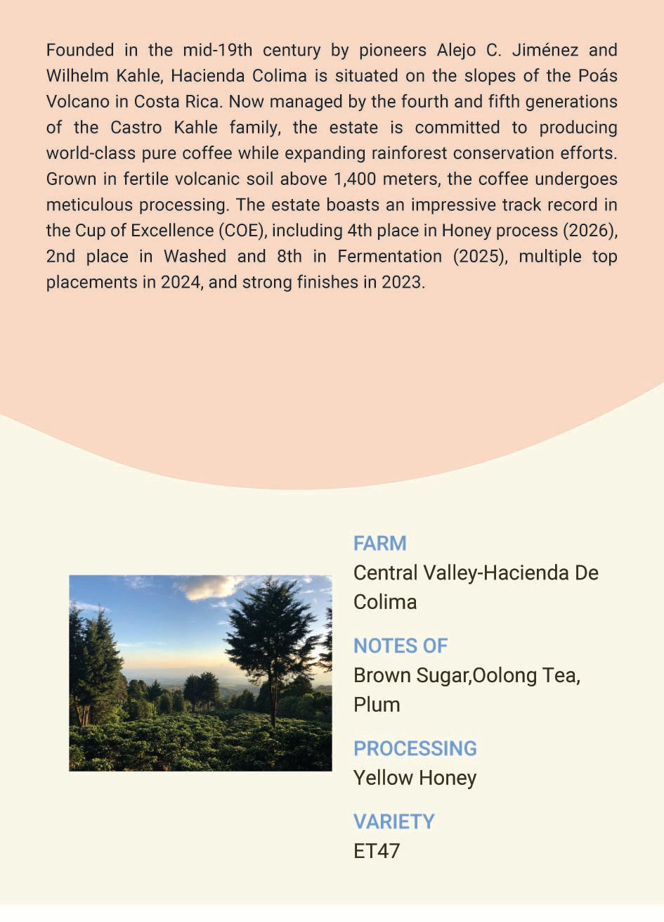 Costa Rica Central Valley Hacienda De Colima ET47 White Honey