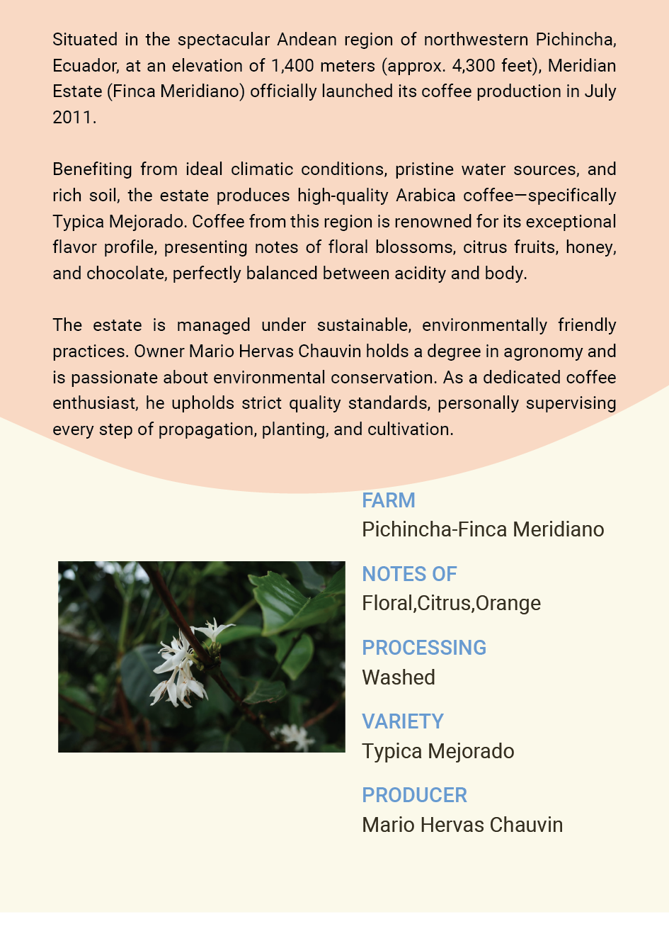 Ecuador Pichincha Finca Meridiano Typica Mejorado Washed