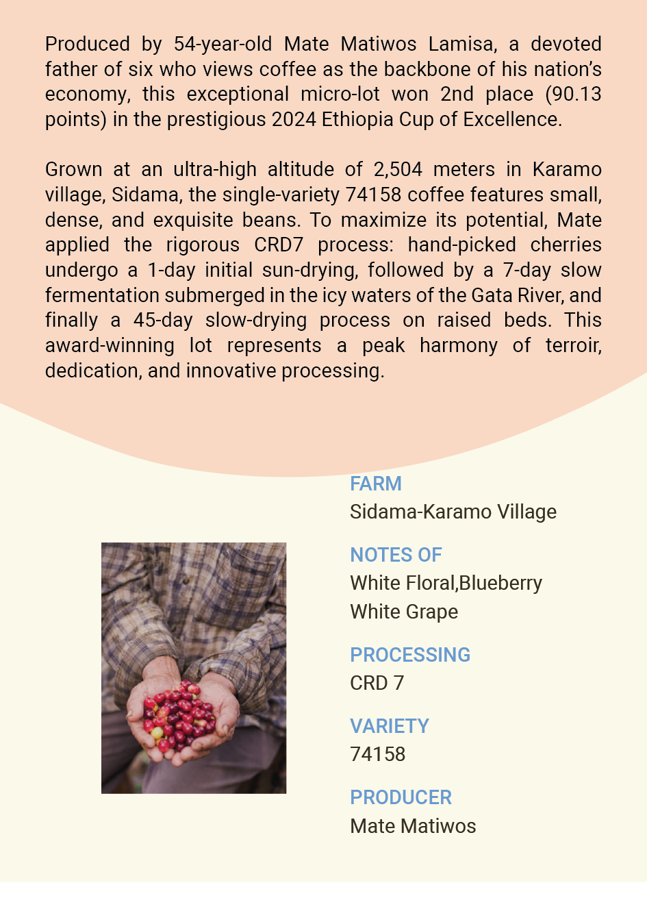 Ethiopia Sidama Karamo Village Mate Matiwos Lamisa 74158 CRD 7+45 days Dry