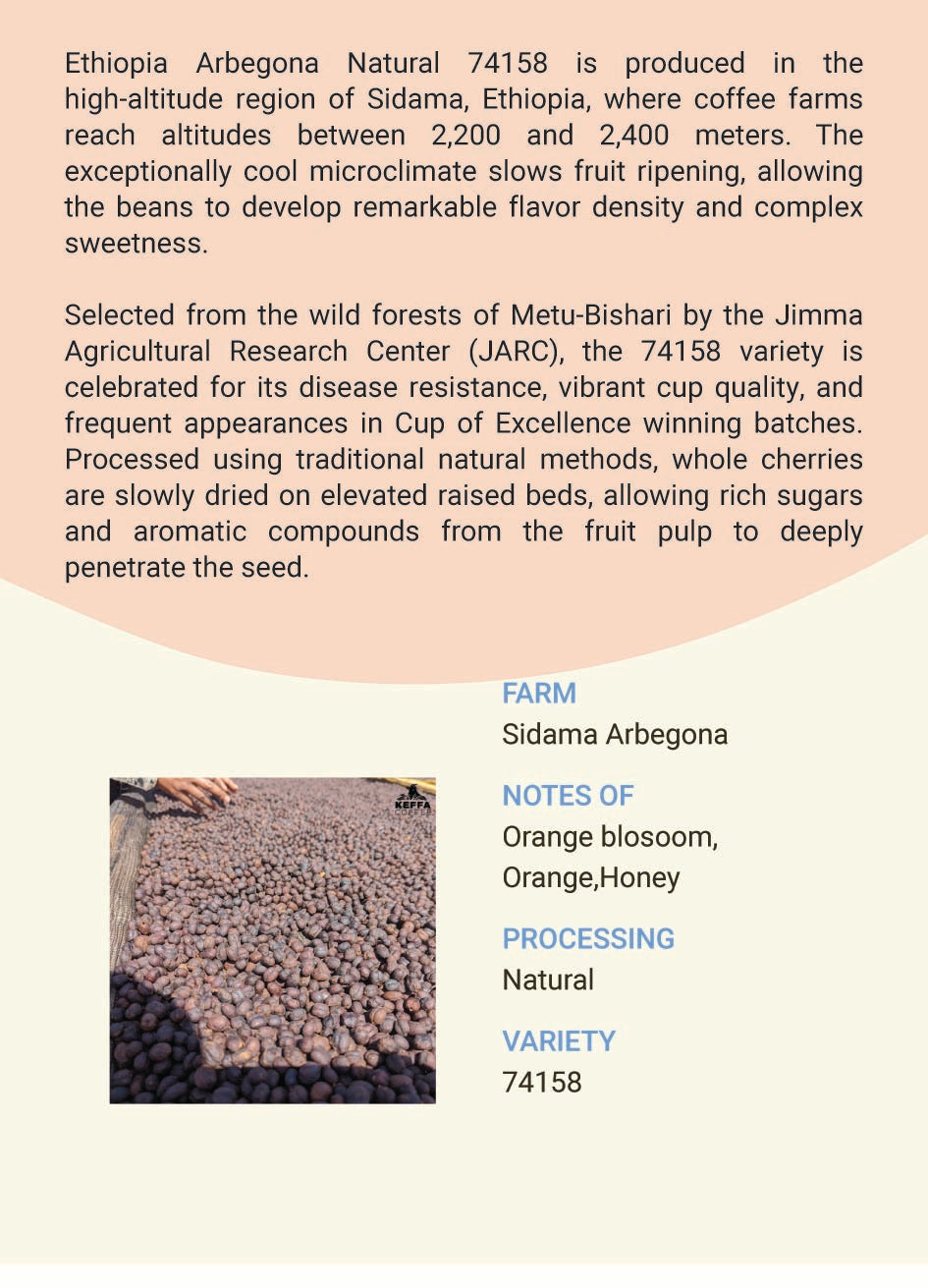 Ethiopia Sidama Arbegona 74158 Natural