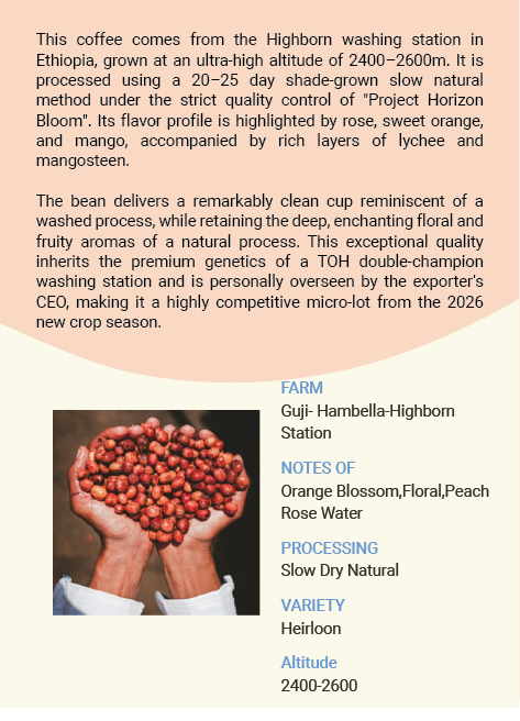 Ethiopia Hambella Highborn Station Heirloon Slow Dry Natural