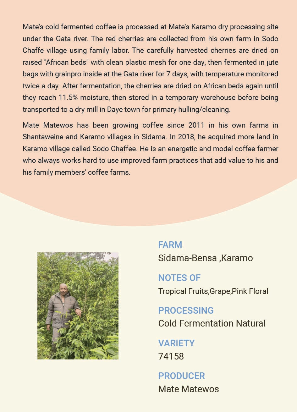 Ethiopia Sidama Mate Matewos 74158 Cold Fermentation Natural