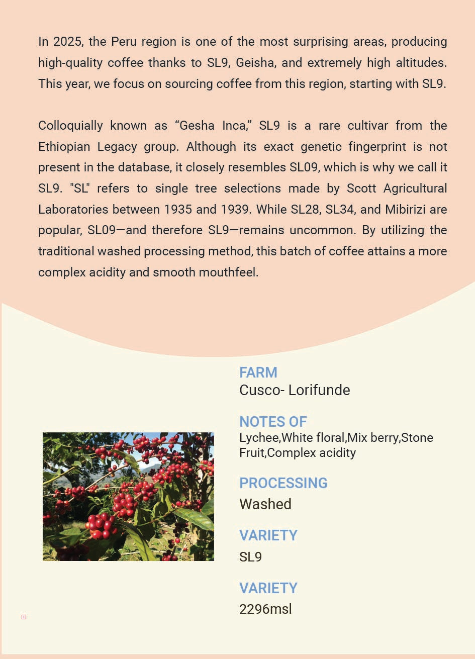 Peru Cusco Lorifunde SL9 Washed