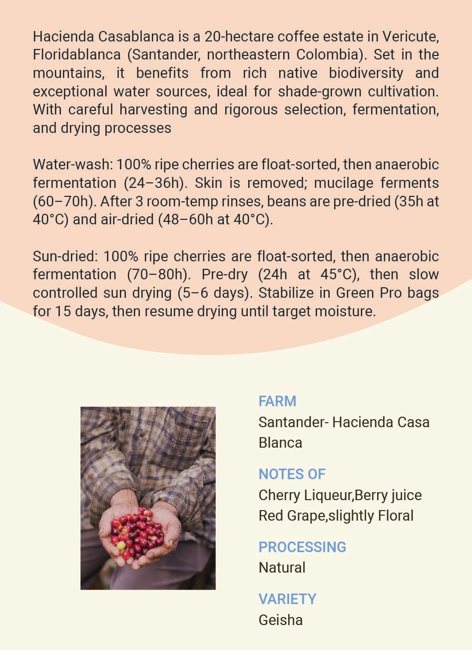 Colombia Santander-Hacienda Casa Blanca Geisha Washed&Natural