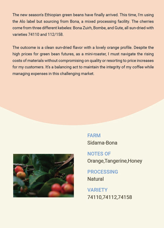 Ethiopia Sidama Alo Bona Natural Espresso