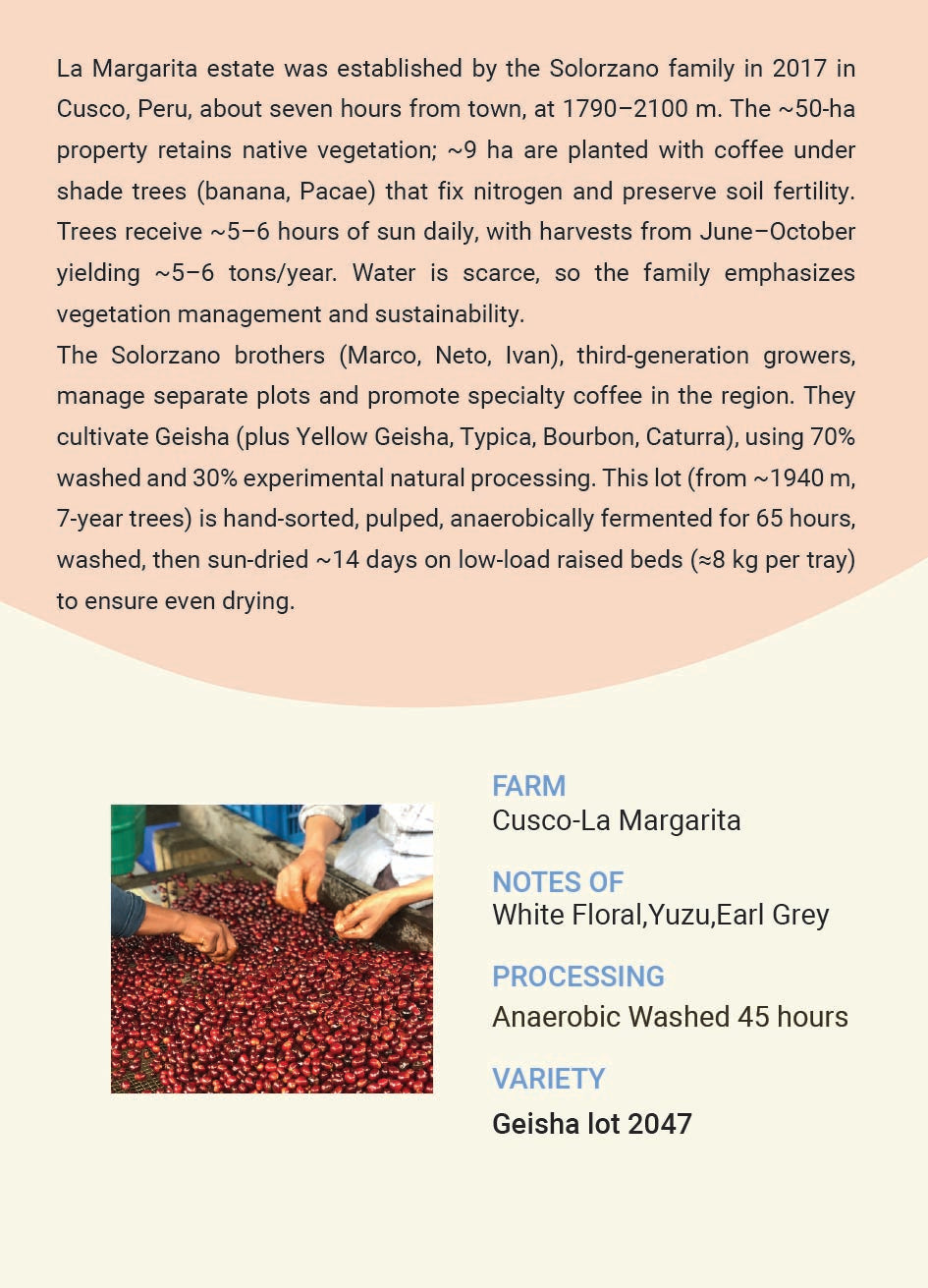 Peru Cusco La Margerita Geisha Anaerobic Washed lot 2098,lot 2047