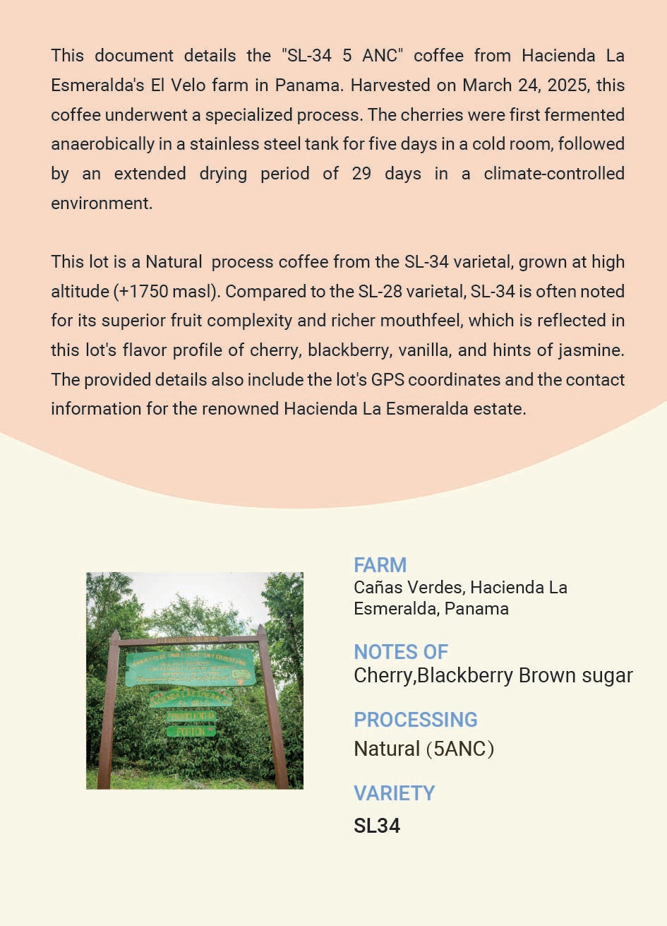 Panama Quiel, Boquete, El velo Hacienda La Esmeralda SL34 5ANC