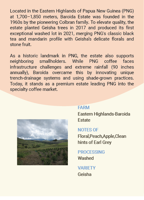 Papua New Guinea Eastern Highlands Baroida Estate Geisha Washed
