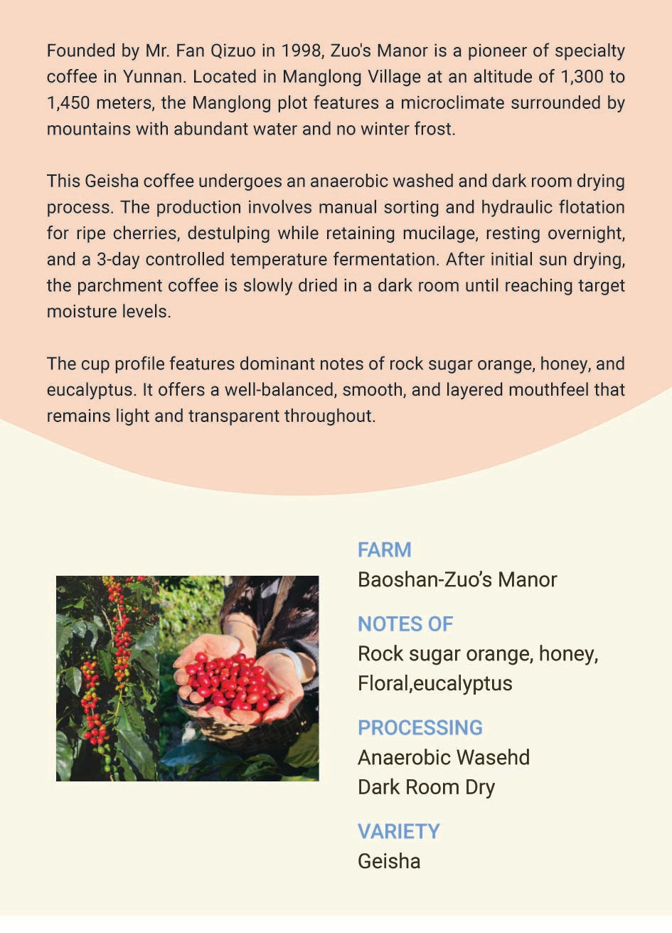 Yunnan Baoshan Zuo’s Manor Geisha Anaerobic Washed +Dark Room Dry