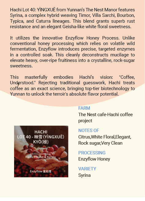 Yunnan The Nest Hachi coffee project YÌNGXUĚ-Syrina Enzyflow honey