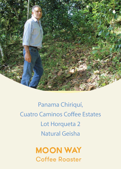 PANAMA GEISHA NATURAL