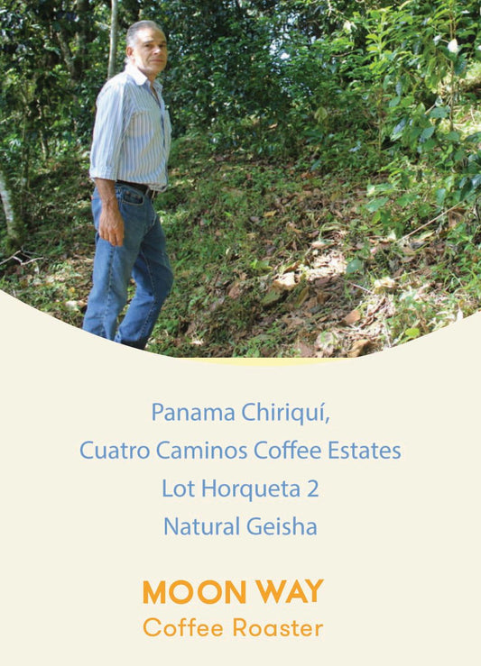 PANAMA GEISHA NATURAL