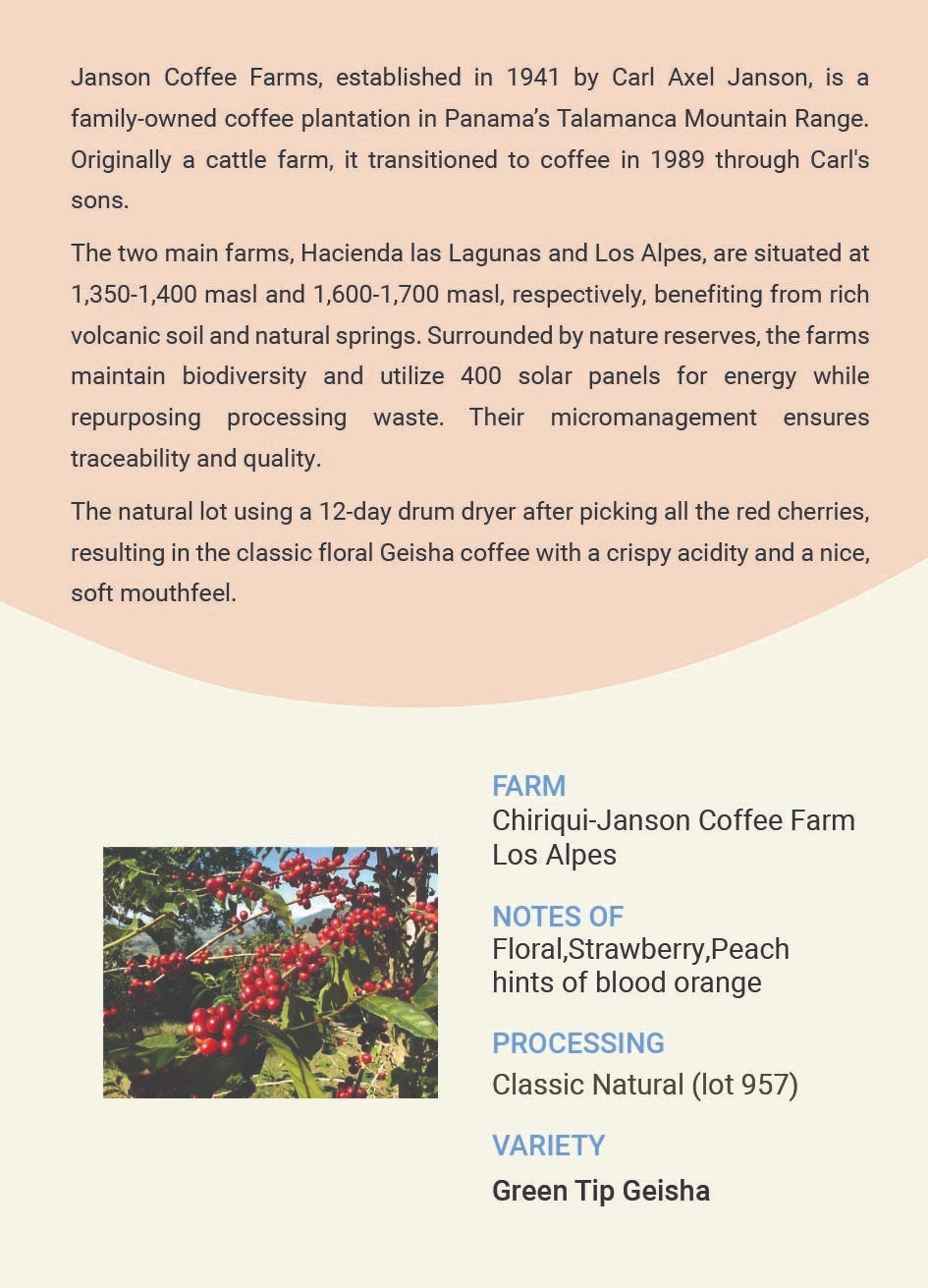 Panama,Janson Natural Geisha lot 957