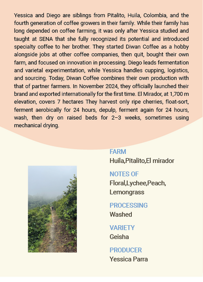 Colombia ,Huila ,El mirador geisha Washed