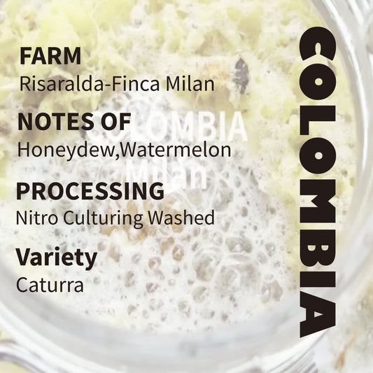 Colombia Risaralda Finca Milan