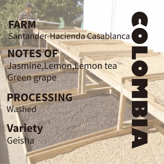 Colombia Santander Casa Blanca Geisha Washed