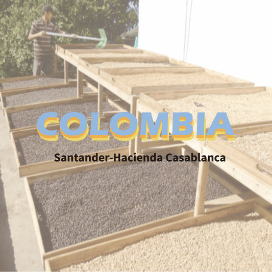 Colombia Santander Casa Blanca Geisha Washed