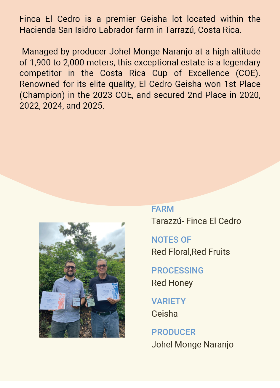 Costa Rica 2023 COE 1  Tarazzú Santa Maria de Dota  Finca El Cedro  Geisha Honey