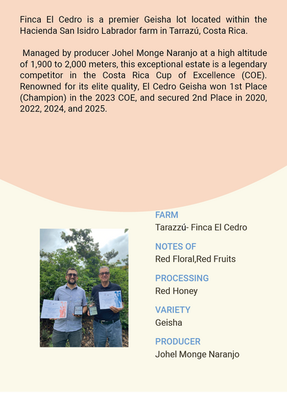 Costa Rica 2023 COE 1  Tarazzú Santa Maria de Dota  Finca El Cedro  Geisha Honey