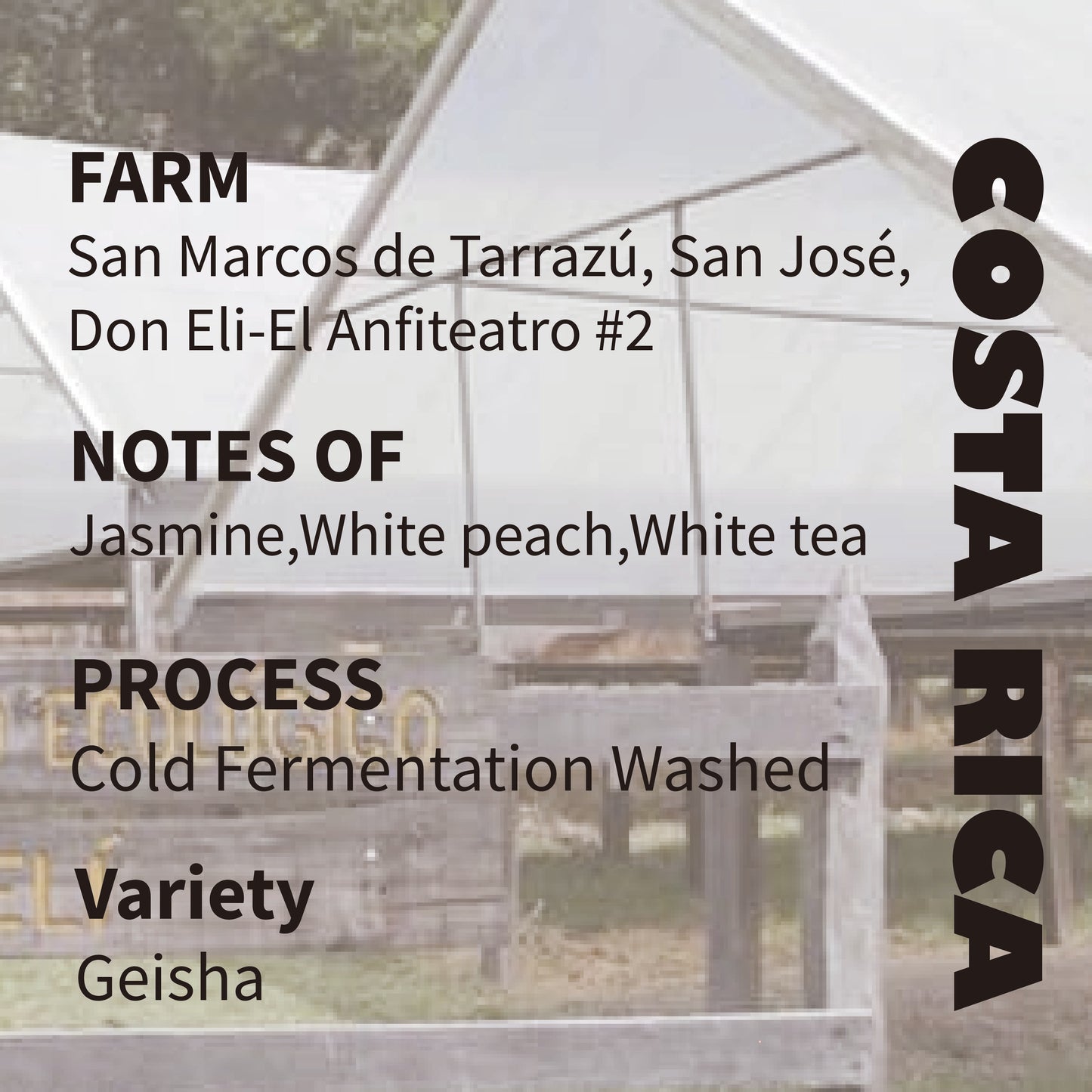 Costa Rica -Don Eli ,Cold Fermentation Washed Geisha