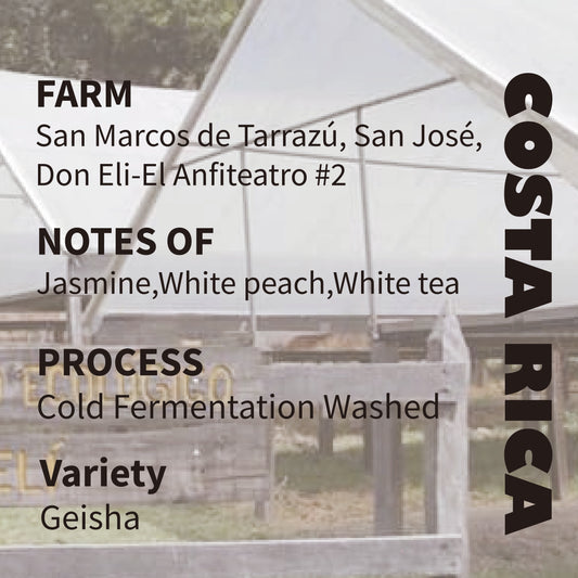 Costa Rica -Don Eli ,Cold Fermentation Washed Geisha