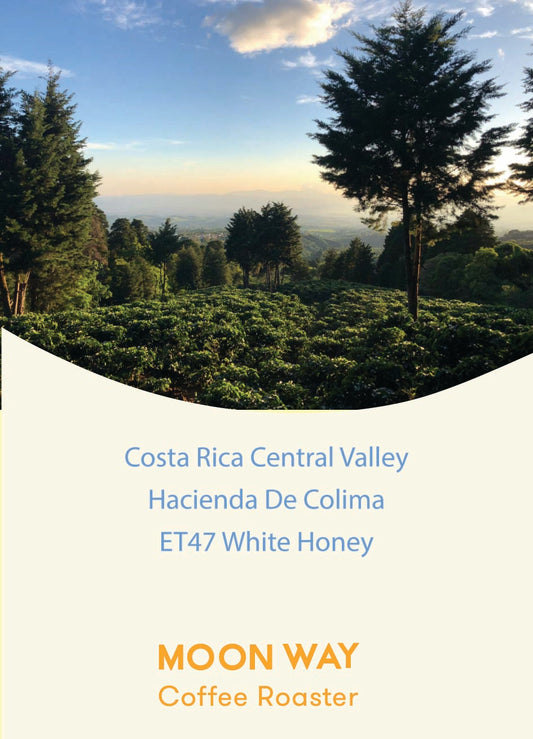 Costa Rica Central Valley Hacienda De Colima ET47 White Honey