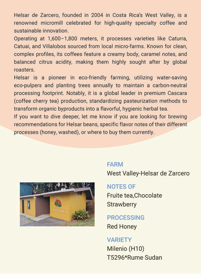 Costa Rica West Valley  Helsar de Zarcero MIlenio(H10) Red Honey