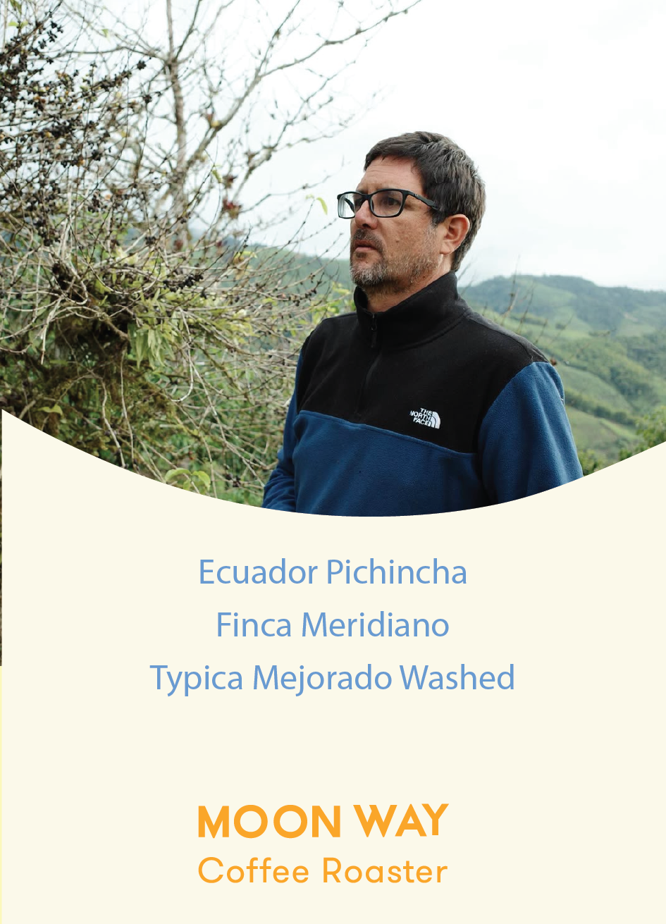 Ecuador Pichincha Finca Meridiano  Typica Mejorado Washed