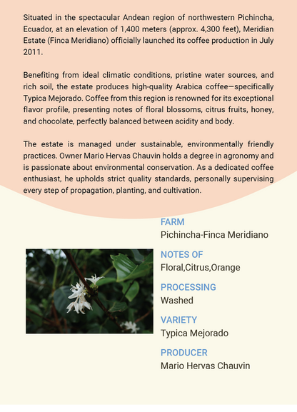 Ecuador Pichincha Finca Meridiano  Typica Mejorado Washed