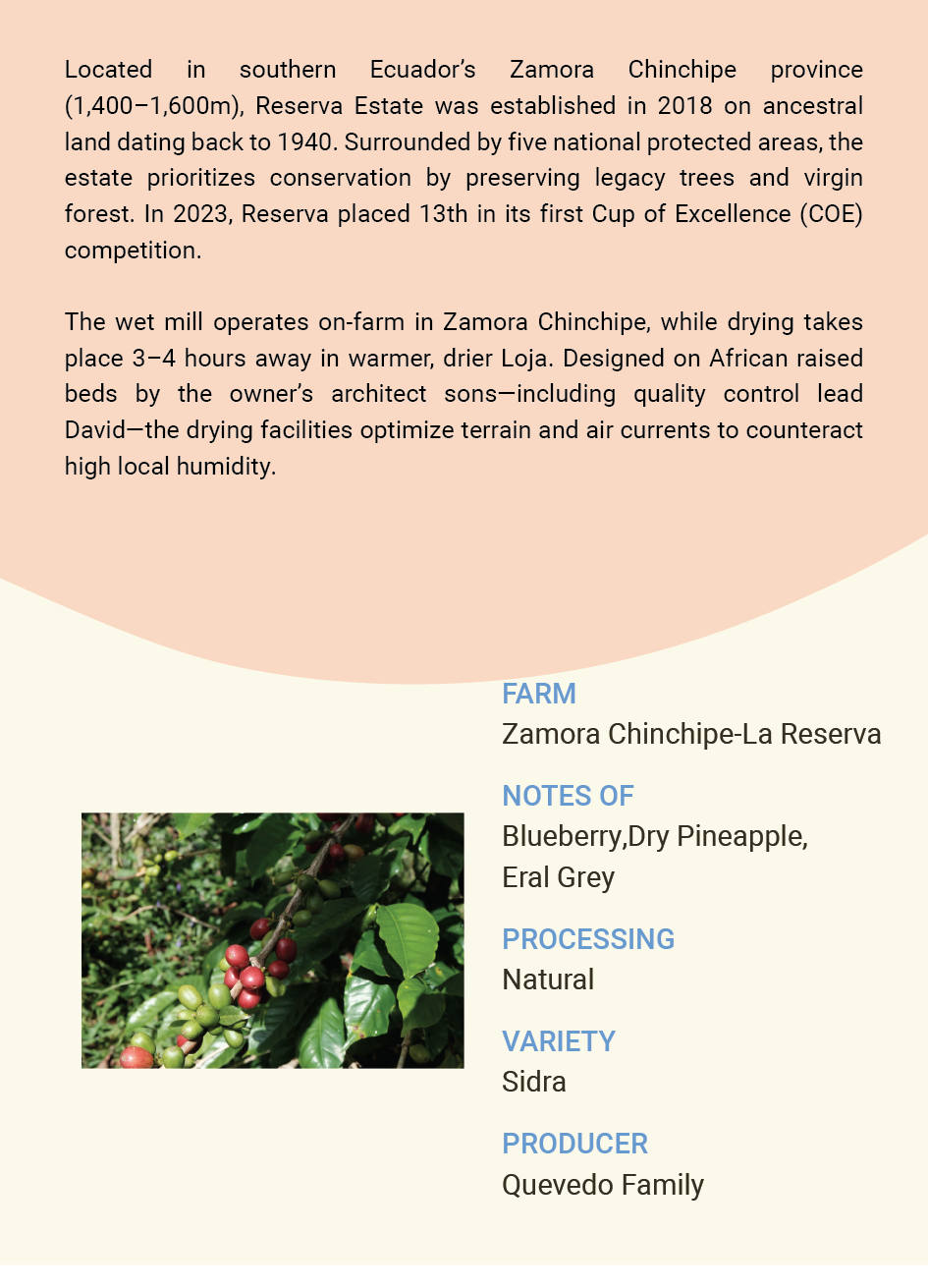 Ecuador  Zamora Chinchipe La Reserve Sidra Natural