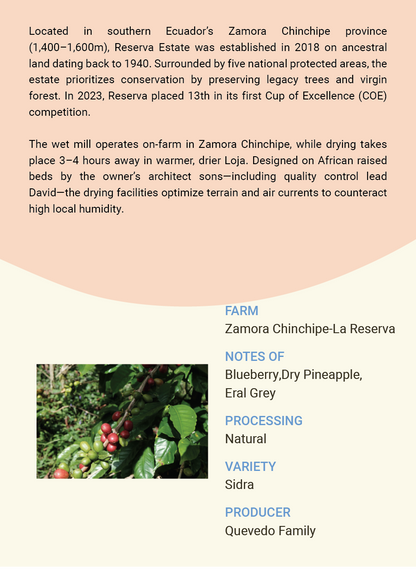Ecuador  Zamora Chinchipe La Reserve Sidra Natural