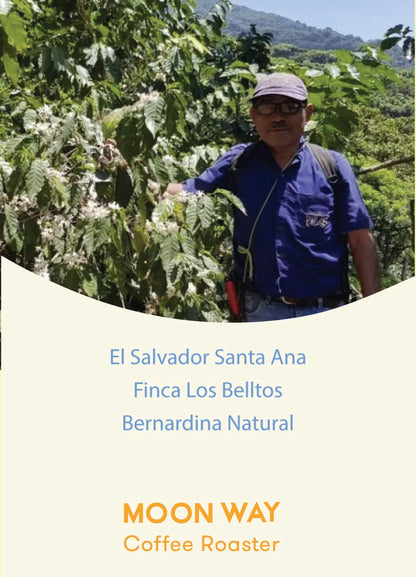 El Salvador Santa Ana Finca Los Belltos Bernardina Natural
