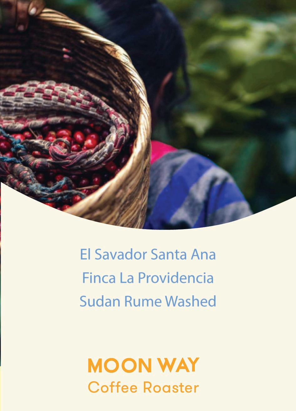 El Savador Santa Ana Finca La Providencia Sudan Rume Washed