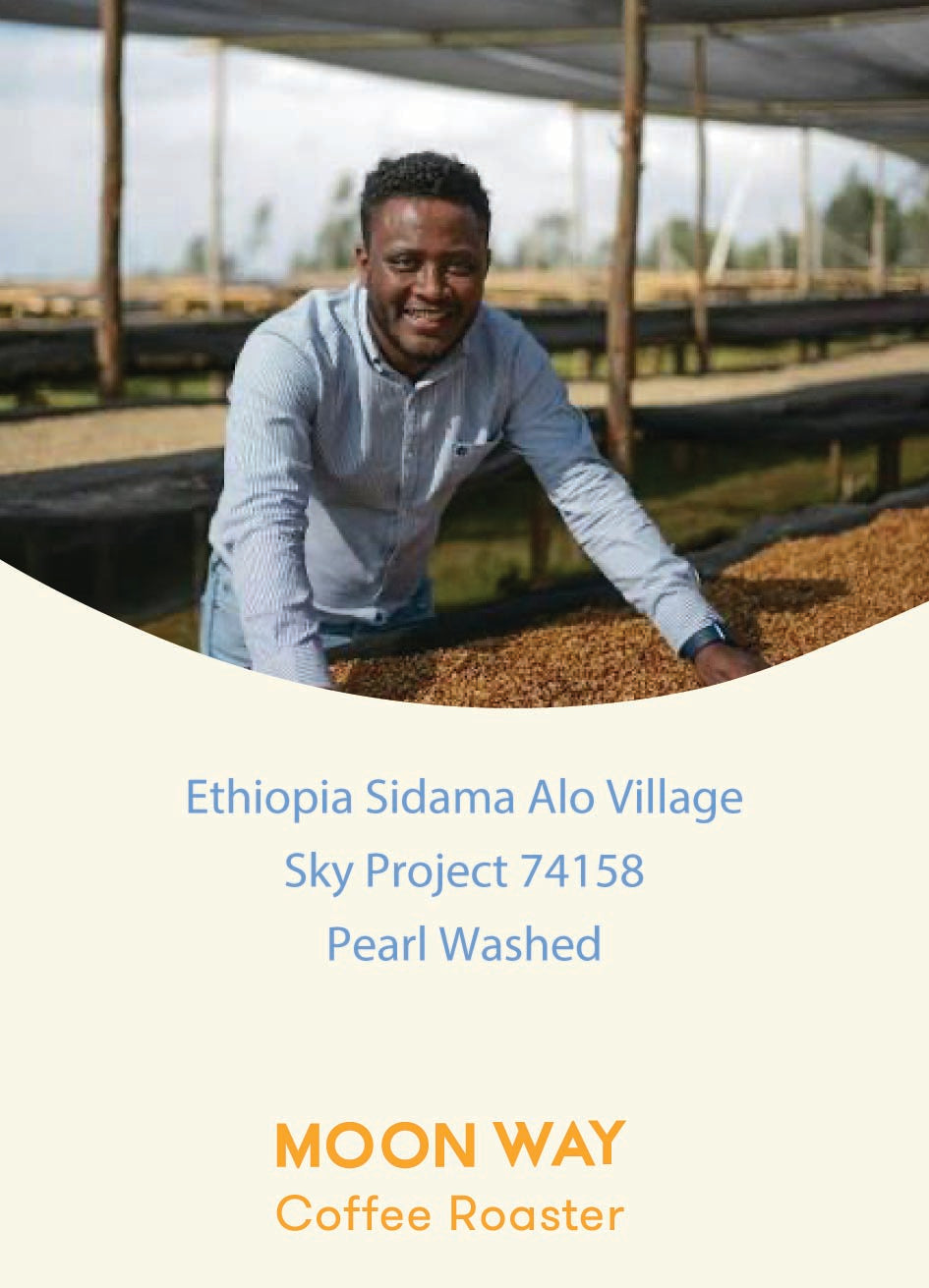 Ethiopia Sidama Alo Village Pearl Washed 74158