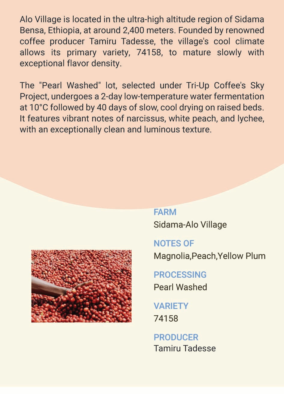 Ethiopia Sidama Alo Village Pearl Washed 74158