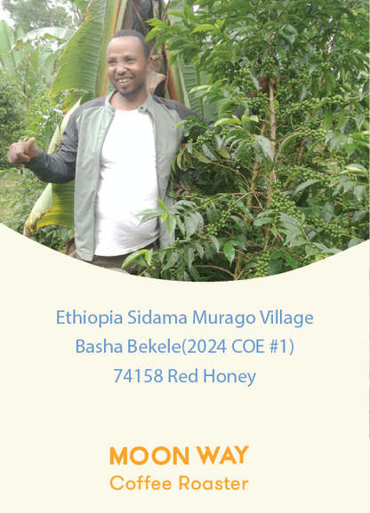 Ethiopia Sidamo Murago Village Basha Bekele 74158 Eed Honey