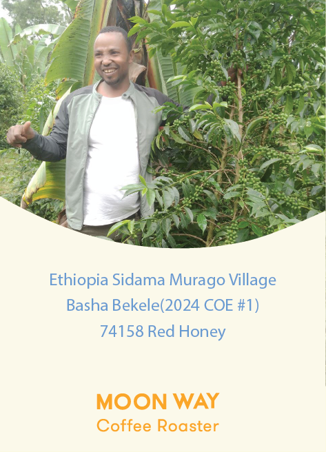 Ethiopia Sidamo Murago Village Basha Bekele 74158 Eed Honey