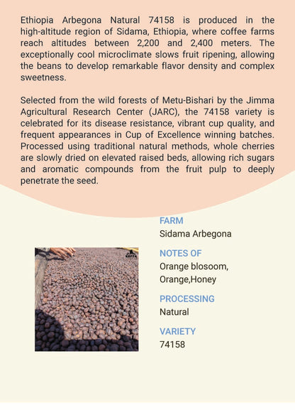 Ethiopia Sidama Arbegona 74158 Natural