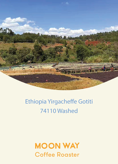 Ethiopia Yirgachefffe Gotiti 74110 Washed