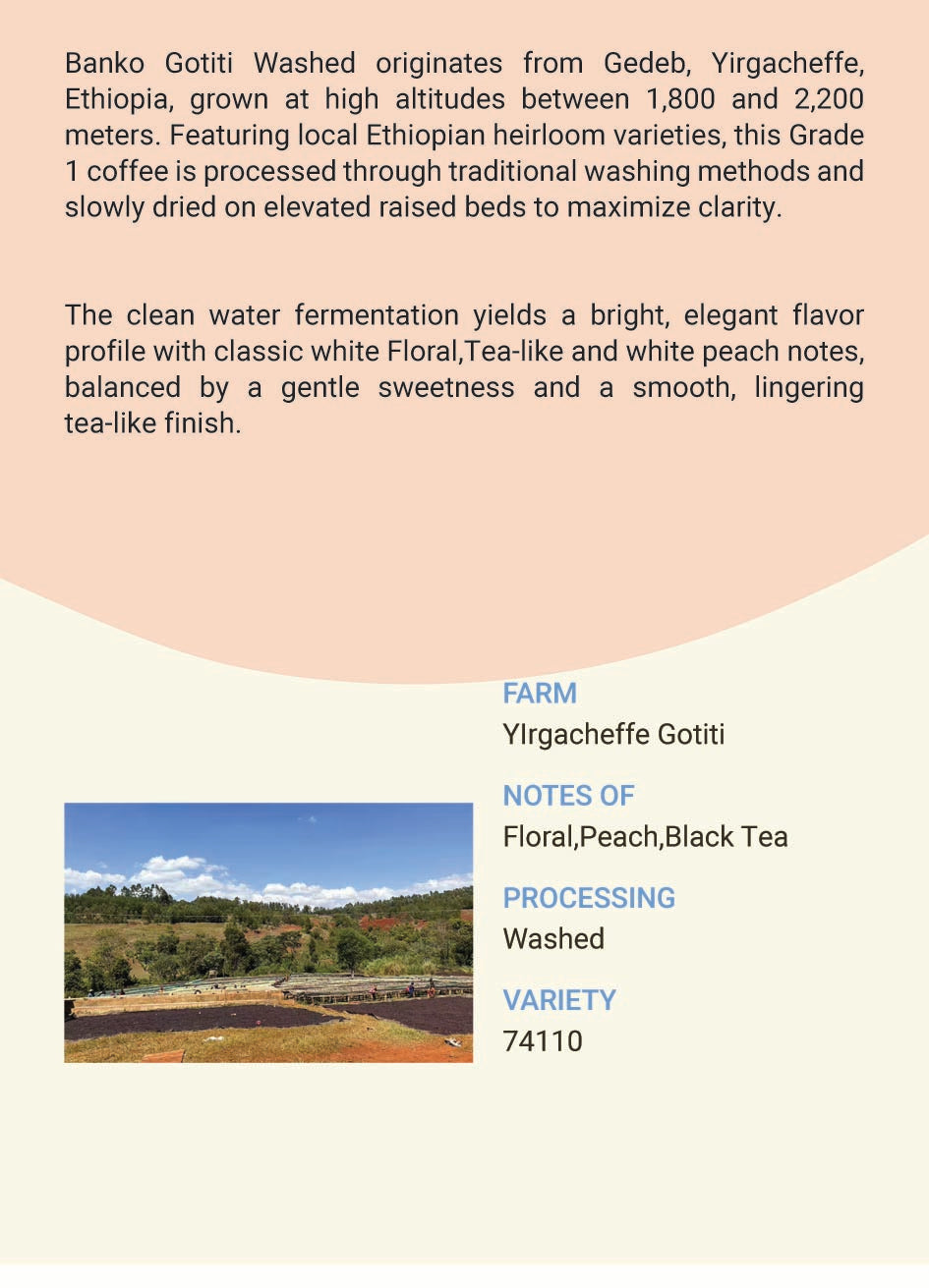Ethiopia Yirgachefffe Gotiti 74110 Washed