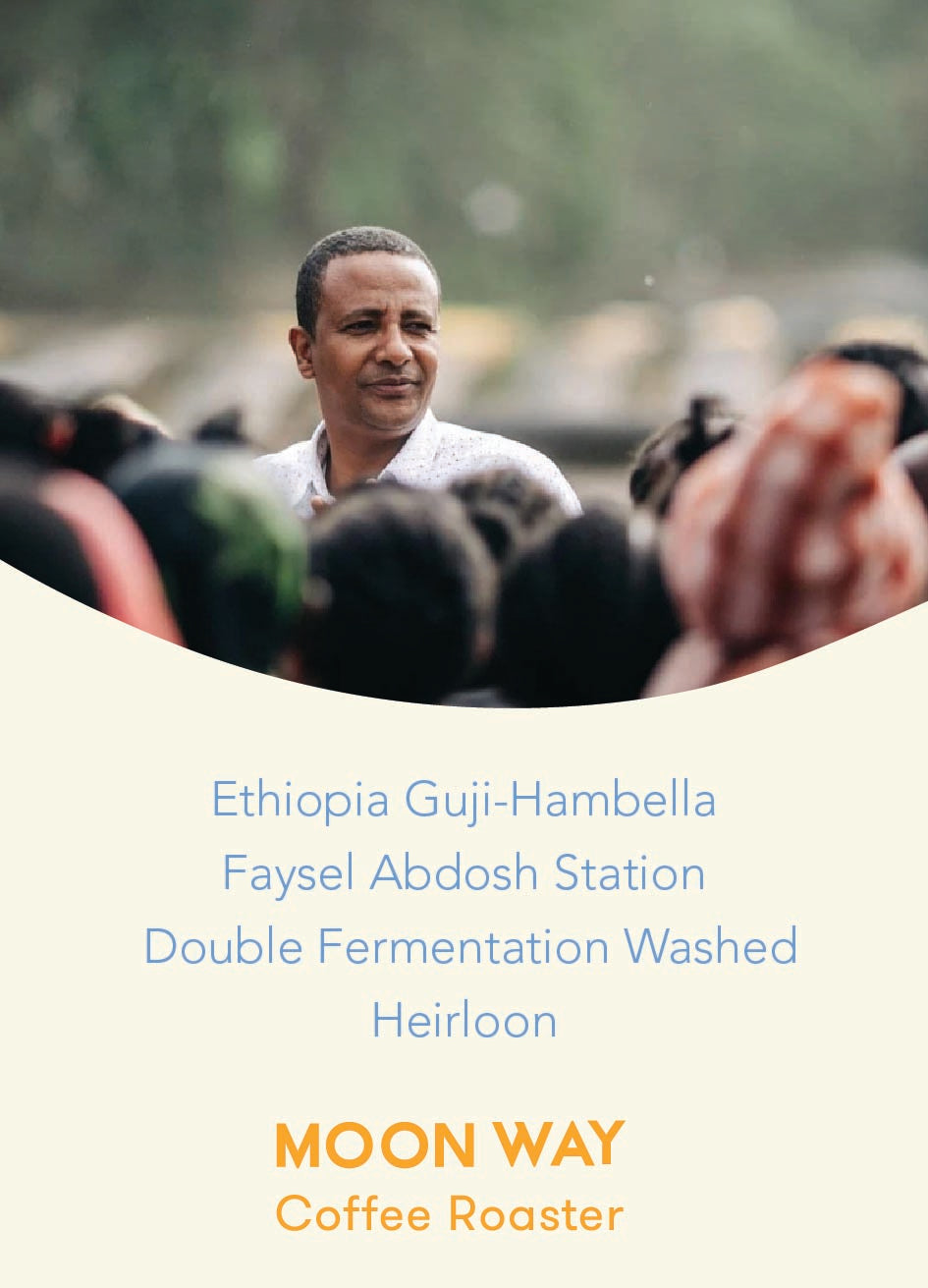Ethiopia Guji Hambella Faysel Abdosh Station Double Fermentation Washed Heirloon
