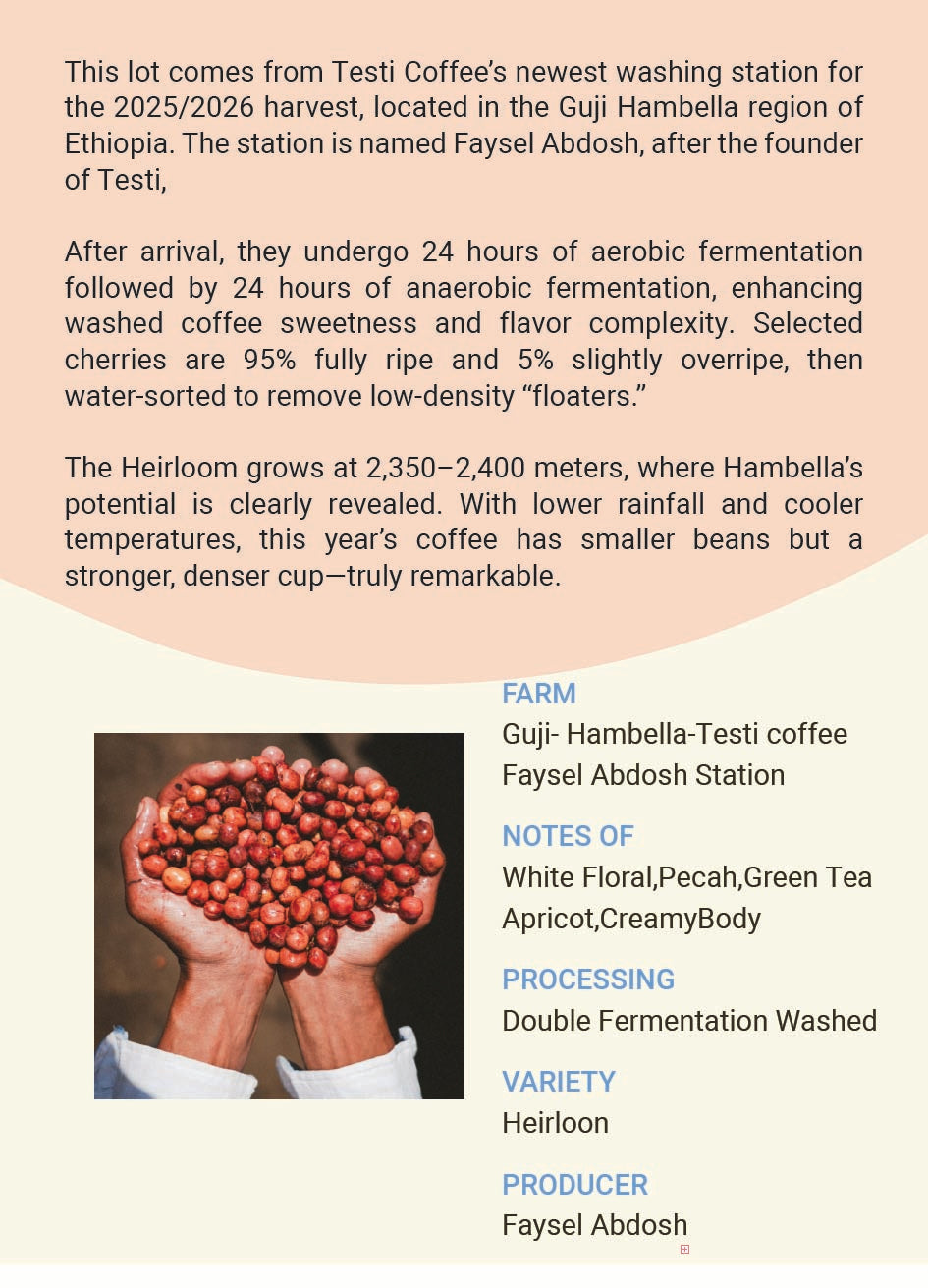 Ethiopia Guji Hambella Faysel Abdosh Station Double Fermentation Washed Heirloon