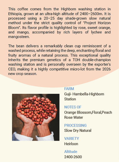 Ethiopia Hambella Highborn Station Heirloon Slow Dry Natural
