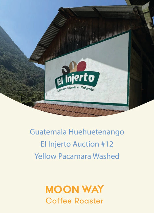 Guatemala Huehuetenango El Injerto Auction #12 Yellow Pacamara Washed