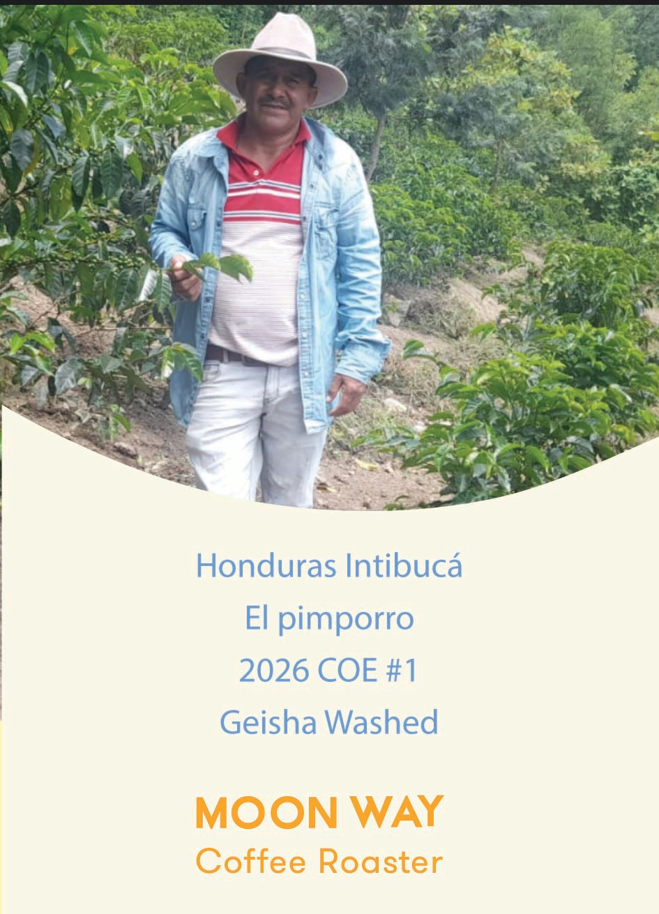 Honduras Intibucá  El pimporro 2026 COE #1  Geisha Washed