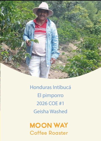 Honduras Intibucá  El pimporro 2026 COE #1  Geisha Washed