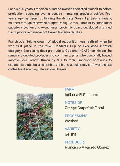 Honduras Intibucá  El pimporro 2026 COE #1  Geisha Washed